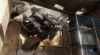 Red Faction - 8